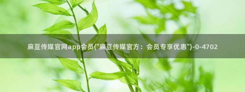 麻豆视频内容聚合