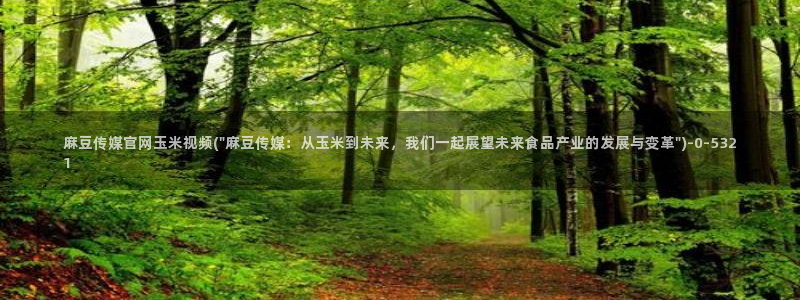 麻豆视频可读内容
