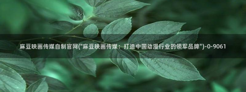 麻豆免费视频观看