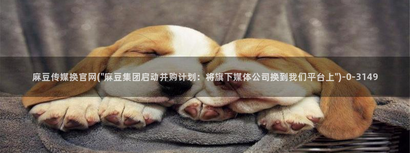 麻豆传媒精选