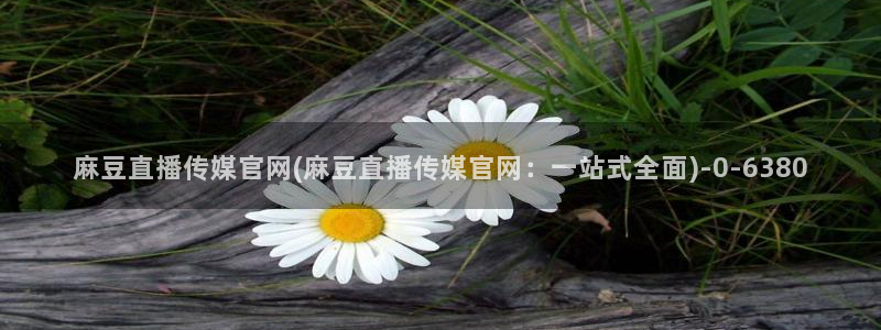 麻豆在线视频