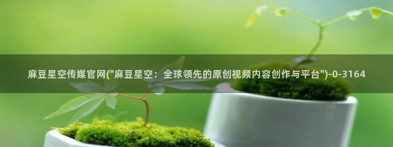 麻豆视频资源站
