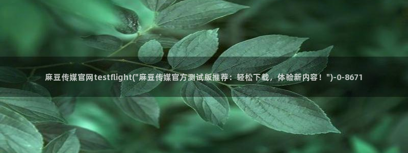 麻豆视频模板标签