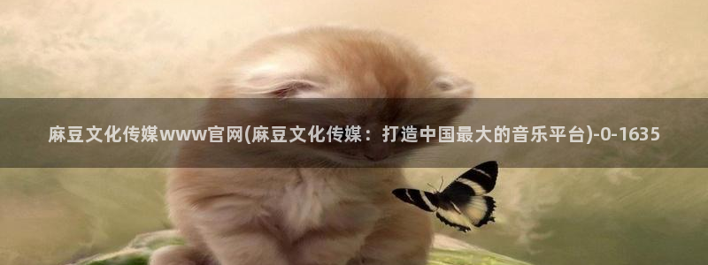 麻豆视频评分