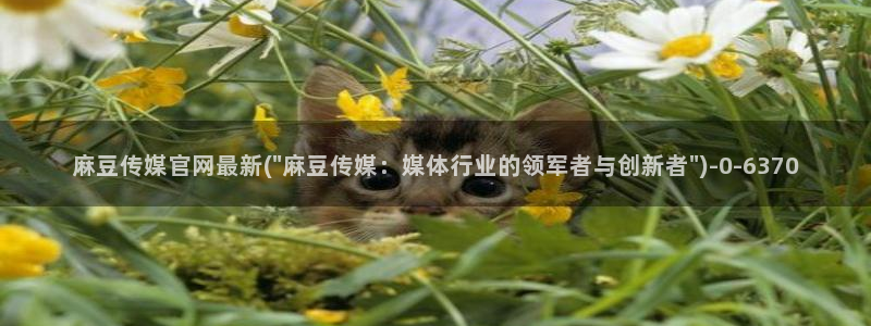 麻豆视频合集整理