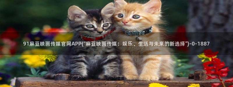 麻豆视频入口
