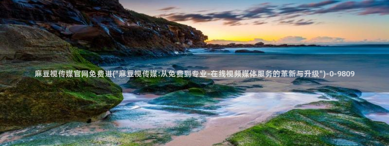 麻豆视频更新维护