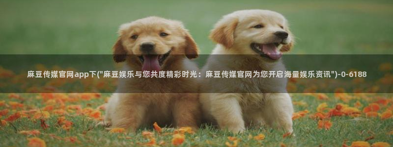 麻豆精选页