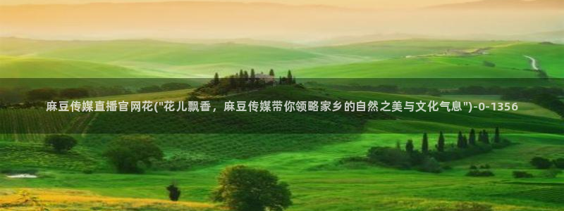 麻豆视频内链