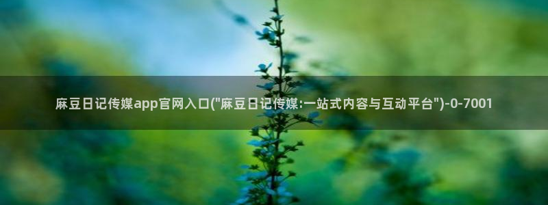 麻豆标题优化