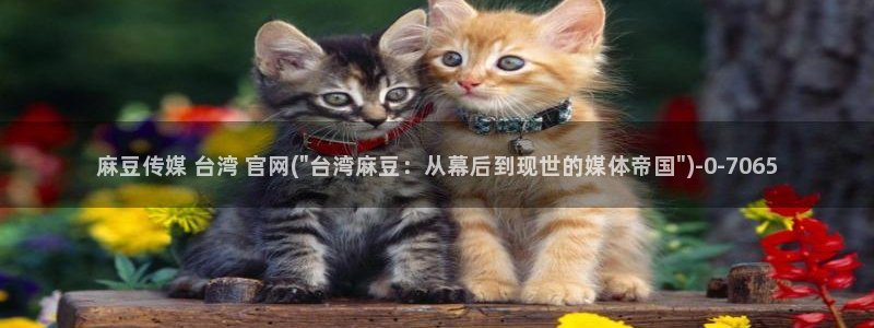 麻豆精品片单