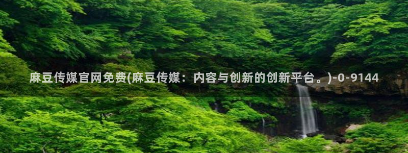 麻豆视频百度优化