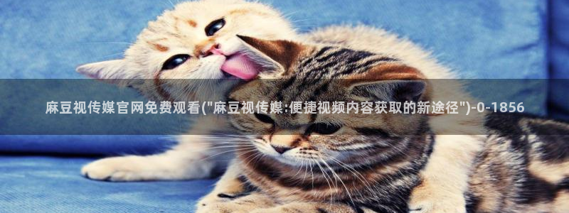 麻豆演员资料