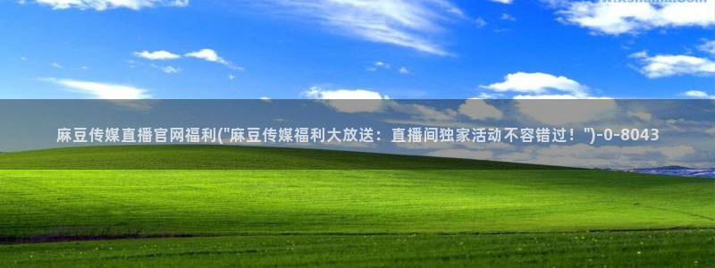 麻豆专题标题