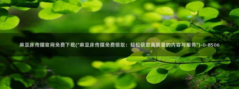 麻豆视频文章标题