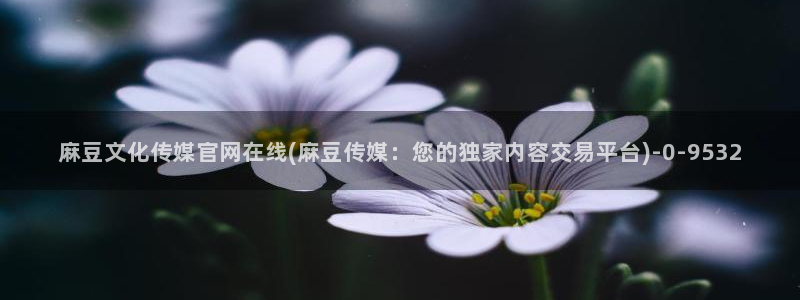 麻豆视频资源站