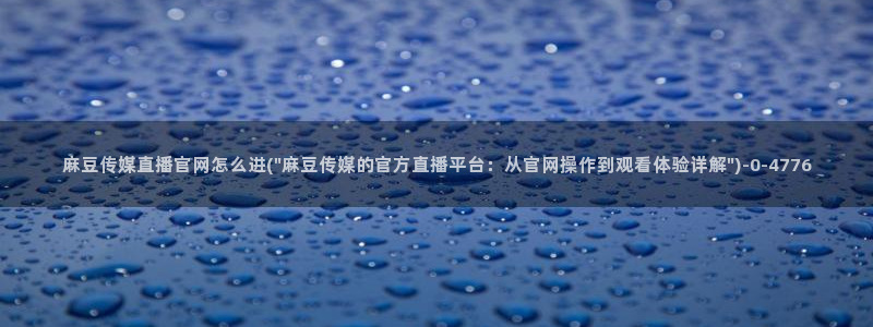 麻豆视频用户体验