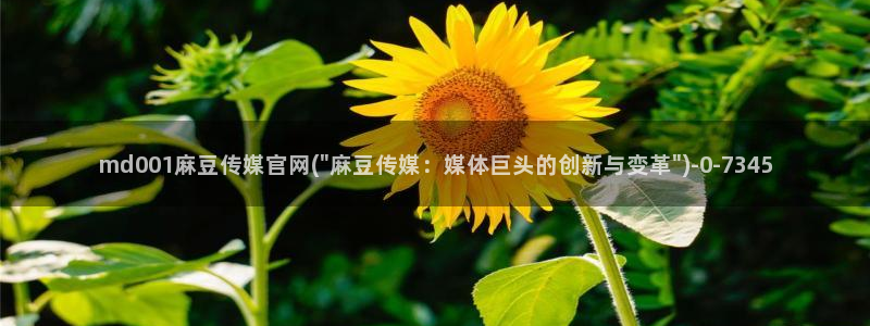 麻豆视频长尾关键词