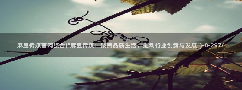 麻豆视频模板标签