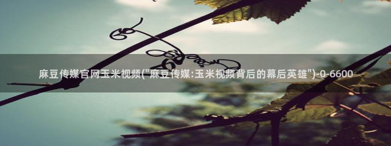 麻豆演员图鉴