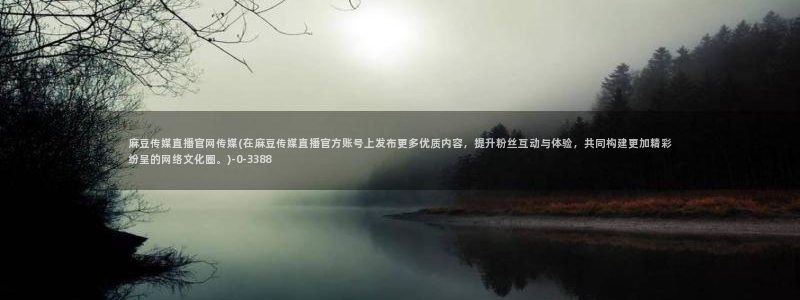 麻豆视频网站