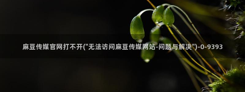 麻豆视频专题维护