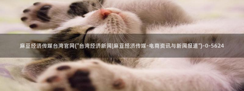 麻豆视频站内文案