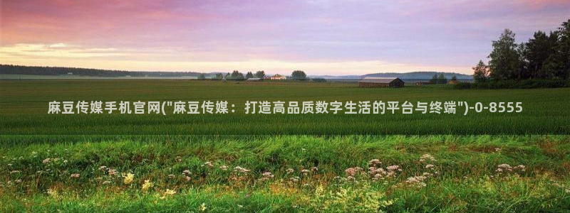麻豆视频分类名称