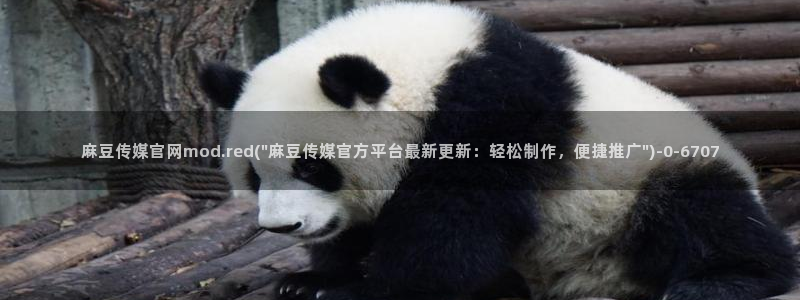 麻豆在线视频