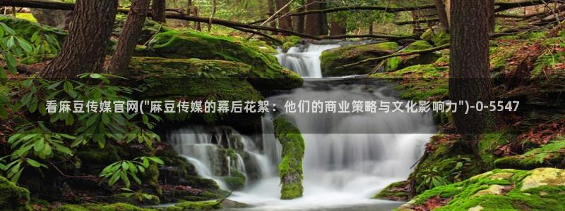 麻豆描述库