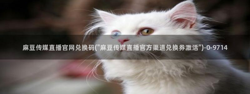 麻豆视频泛目录词