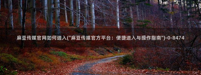 麻豆视频花絮