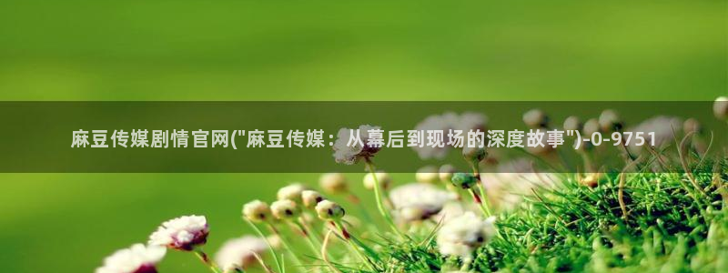 麻豆幕后花絮