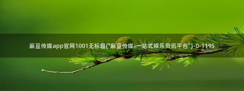 麻豆视频排行文案