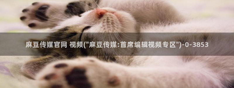 麻豆视频站关键词