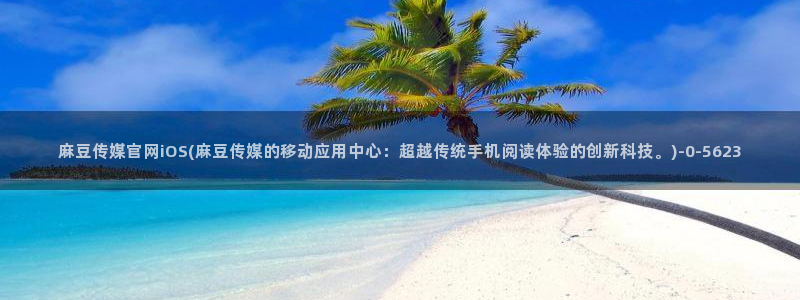 麻豆自定义库
