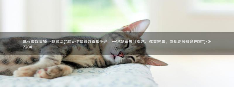 麻豆页面收录
