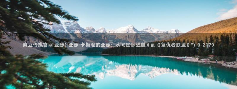 麻豆站内搜索